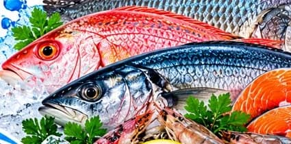 Vivaneau rouge frais — JM Poissonnerie